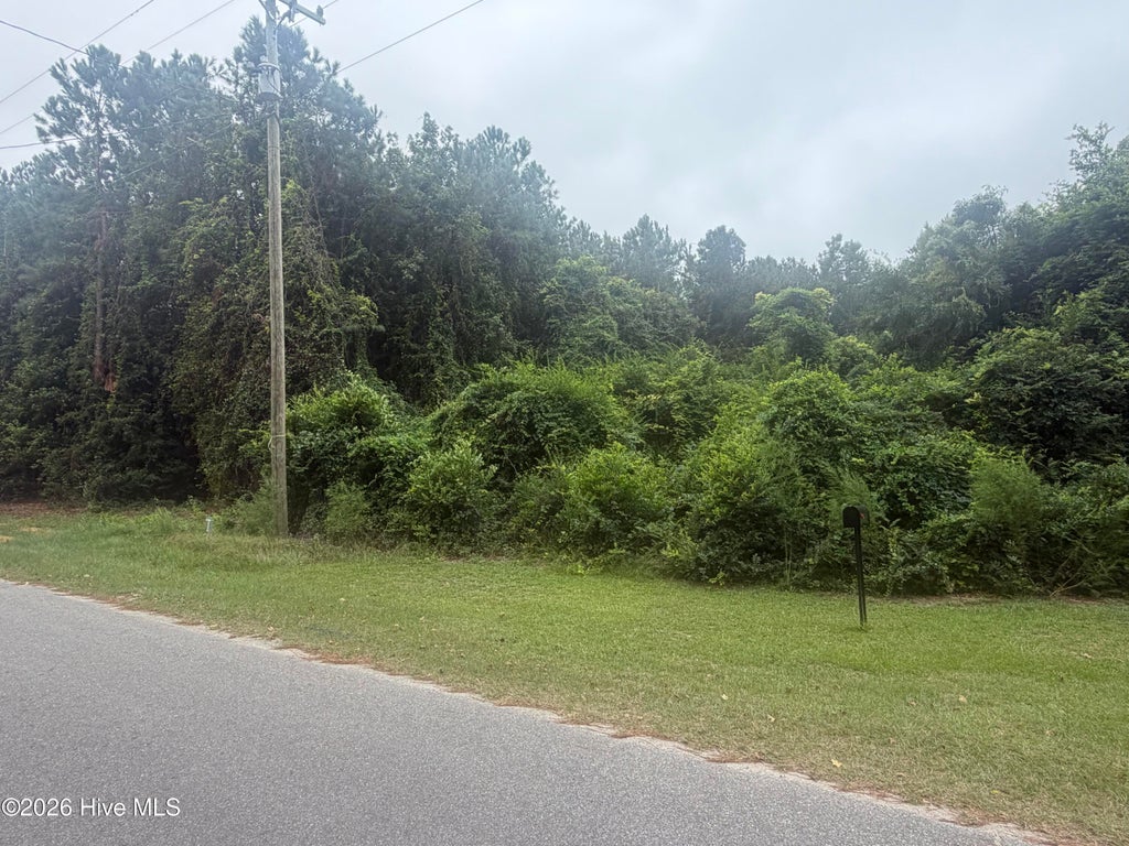 Photo of Tbd N Fayetteville Street, Salemburg, NC 28385 (MLS # 100605335)