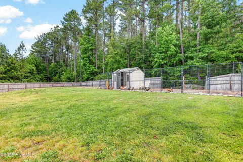 Tiny photo for 102 Blossom Court, Maple Hill, NC 28454 (MLS # 100573967)