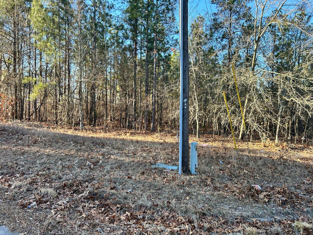 Photo of 3934 Grape Avenue, Augusta, GA 30909 (MLS # 551084)