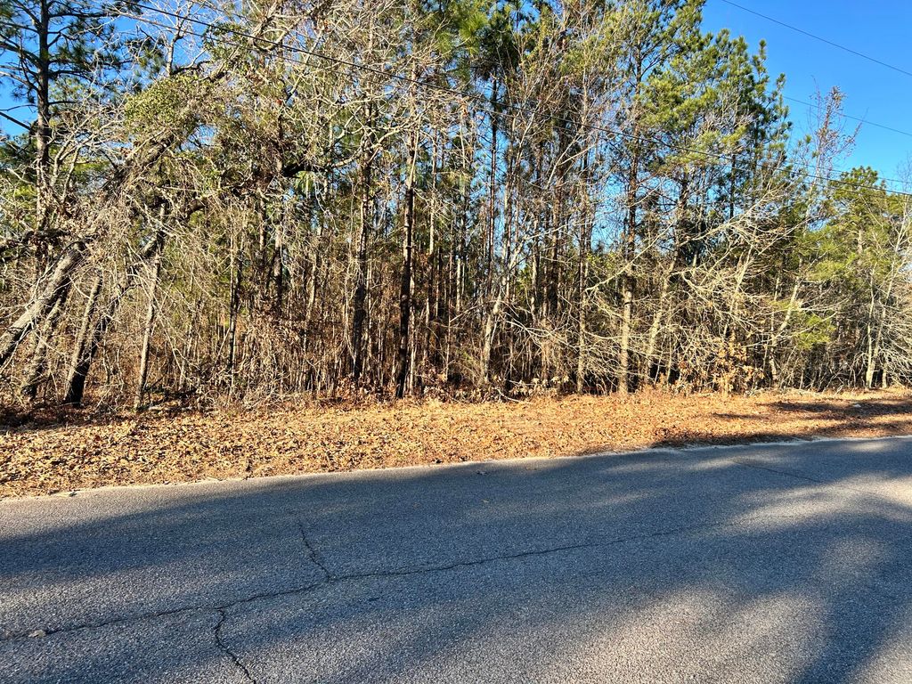 Photo of 3934 Grape Avenue, Augusta, GA 30909 (MLS # 551084)