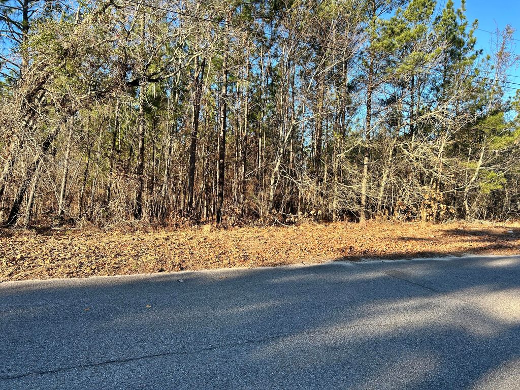 Photo of 3934 Grape Avenue, Augusta, GA 30909 (MLS # 551084)