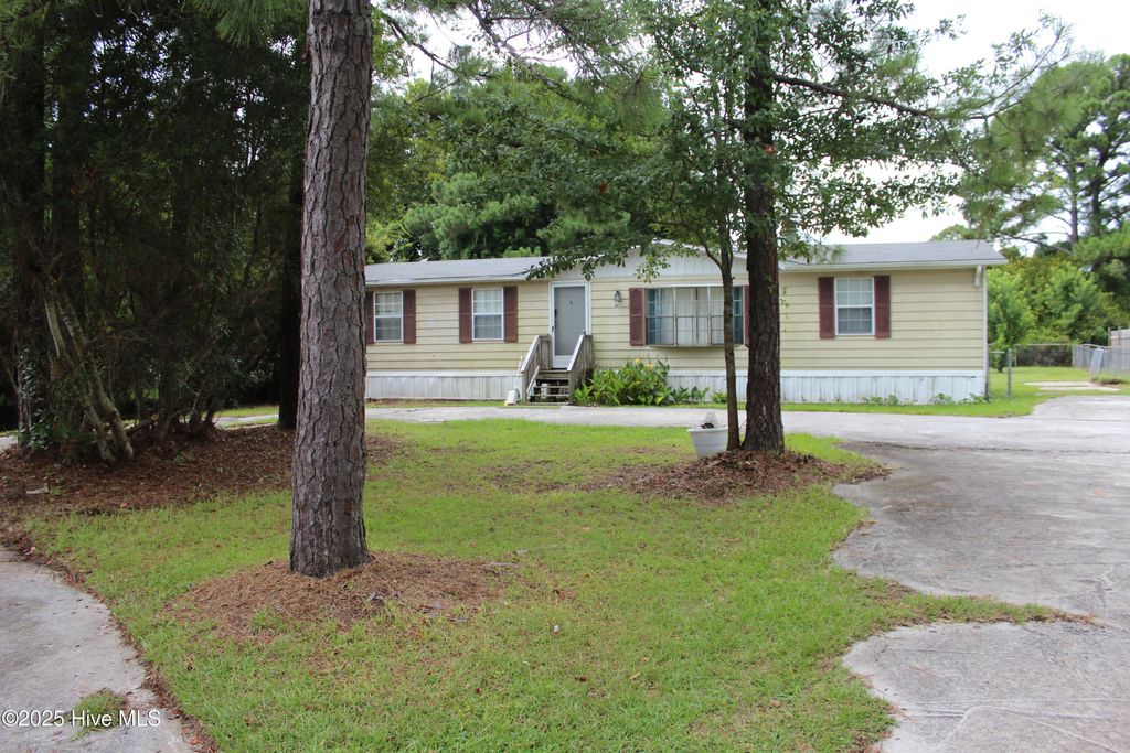 Photo of 154 Canton Street, Newport, NC 28570 (MLS # 100522177)
