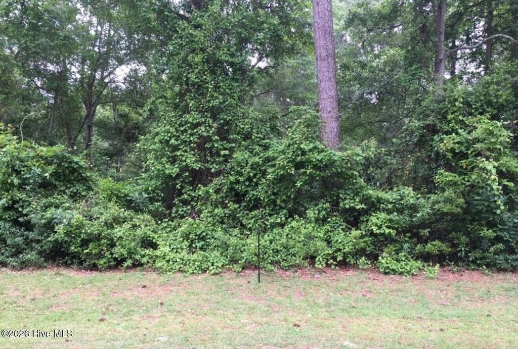 Photo of 814 Chadwick Shores Drive, Sneads Ferry, NC 28460 (MLS # 100552422)