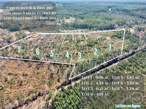 Vacant Land For Sale - LOT 1 Charles Shuman Road<br/> Pembroke, GA 31321