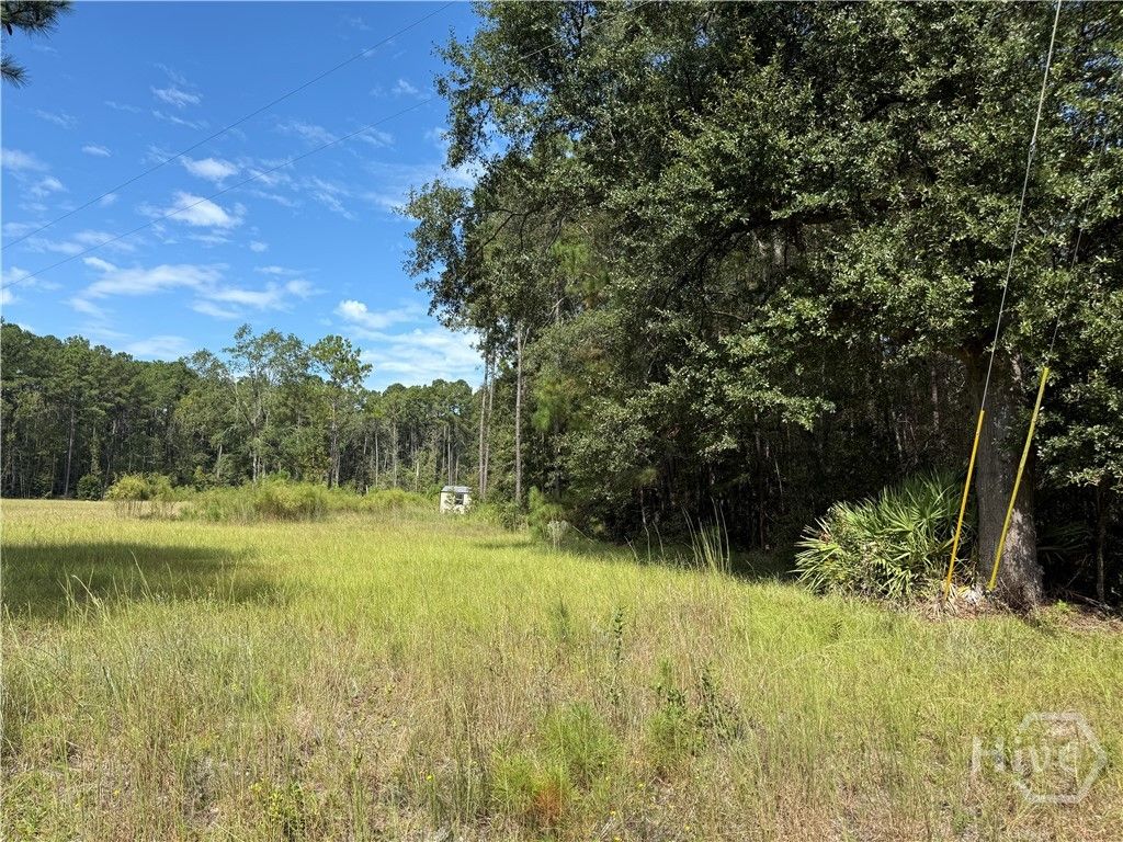 Photo of 124 Oak Street, Rincon, GA 31326 (MLS # SA354507)