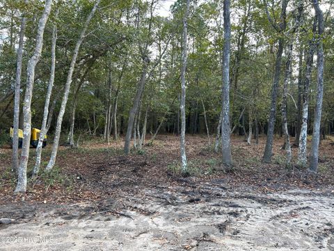 Tiny photo for 140 Stones Throw Lane, Wilmington, NC 28411 (MLS # 100545425)