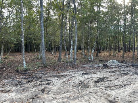 Tiny photo for 140 Stones Throw Lane, Wilmington, NC 28411 (MLS # 100545425)