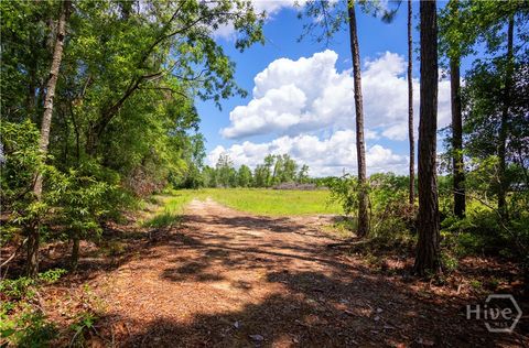 Vacant Land For Sale - 17614 Lanes Bridge Road<br/> Odum, GA 31555