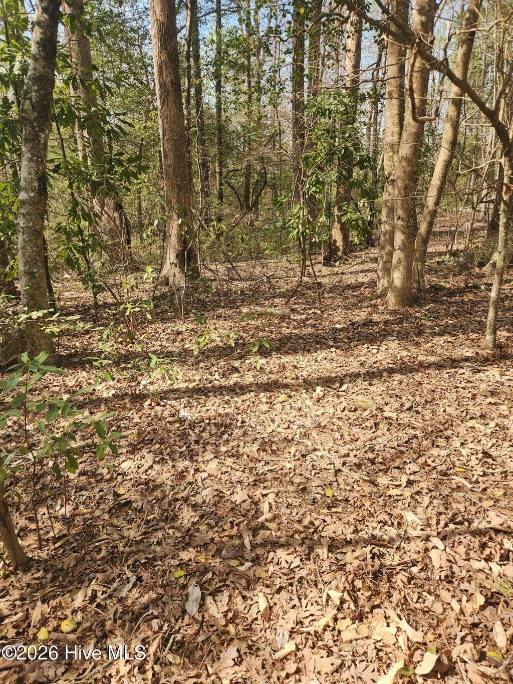 Photo of 27 Peed Road, Chocowinity, NC 27817 (MLS # 100562320)