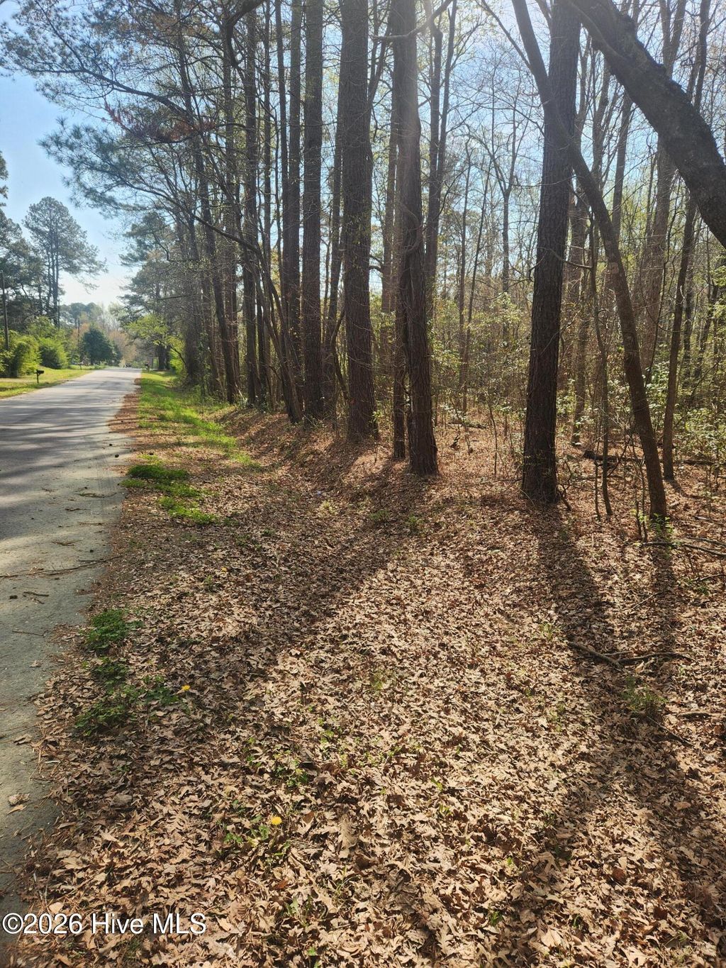 Photo of 27 Peed Road, Chocowinity, NC 27817 (MLS # 100562320)