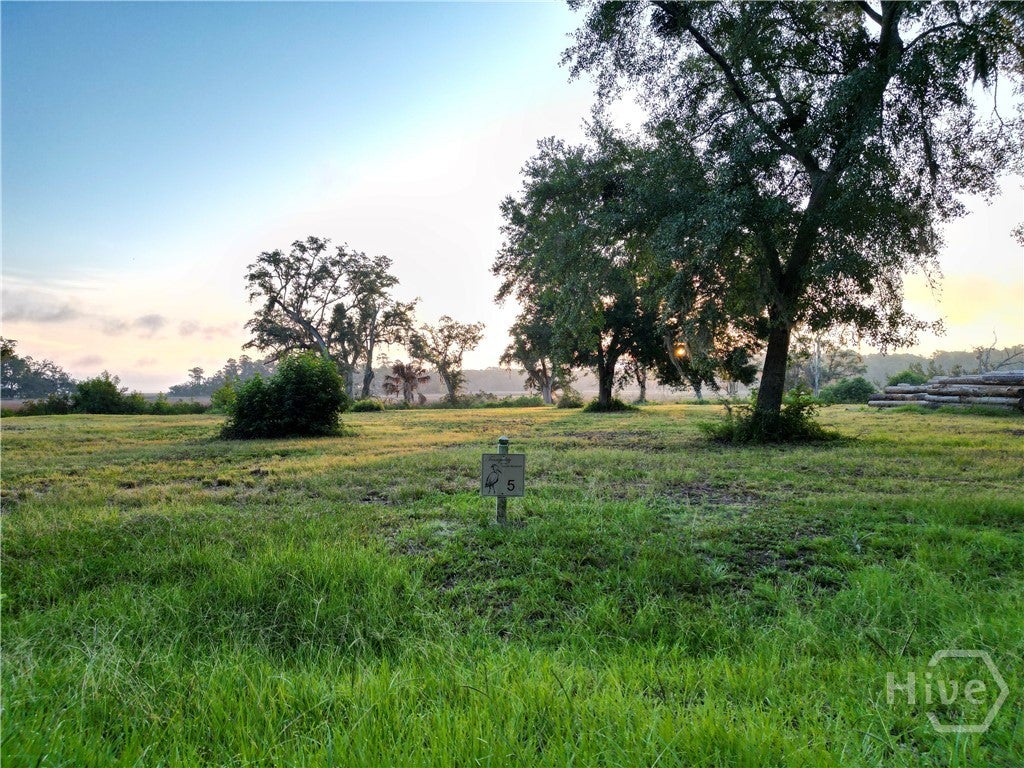 Photo of 5 Retreat Lane NE, Townsend, GA 31331 (MLS # SA365189)