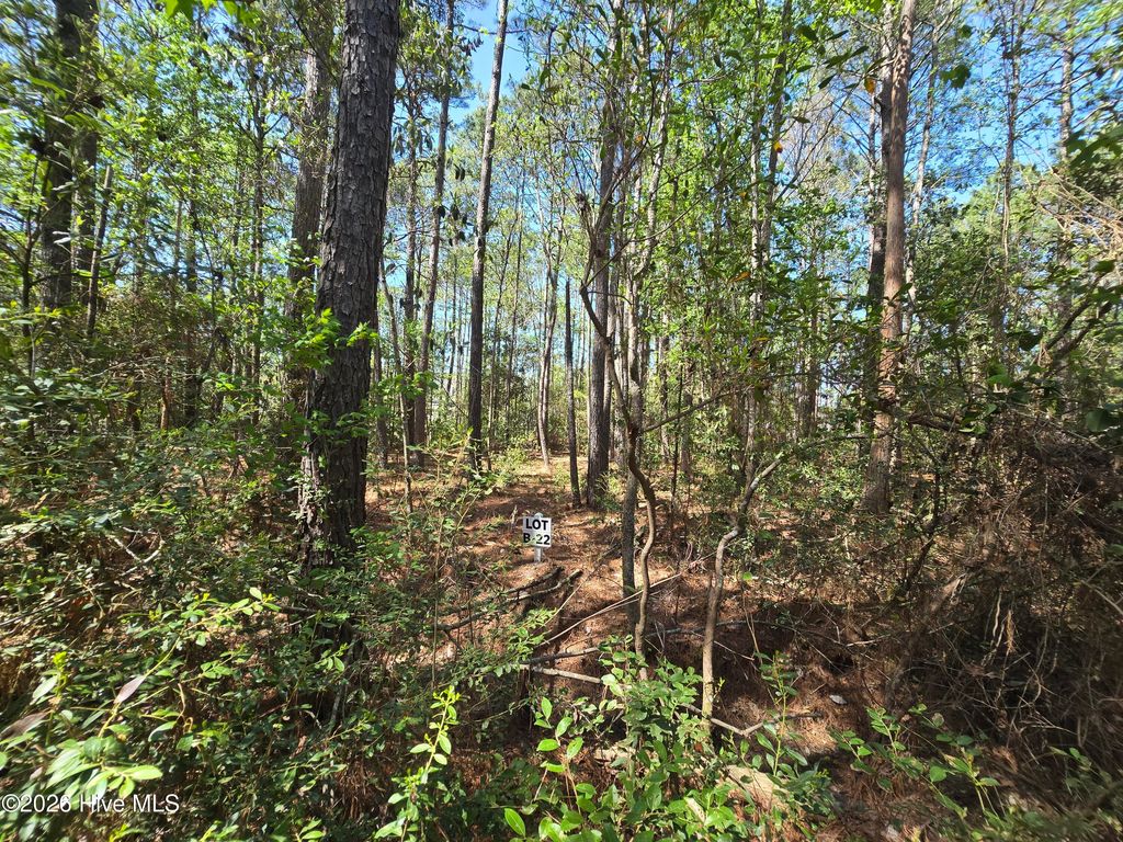 Photo of 22 Renee Drive, Hampstead, NC 28443 (MLS # 100567157)