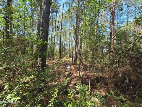 Tiny photo for 22 Renee Drive, Hampstead, NC 28443 (MLS # 100567157)