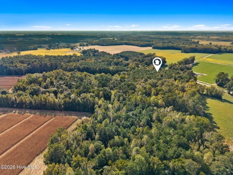 Vacant Land For Sale - 2473 Peacock Road<br/> Whiteville, NC 28472