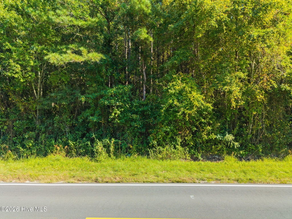 Photo of 2473 Peacock Road, Whiteville, NC 28472 (MLS # 100607501)