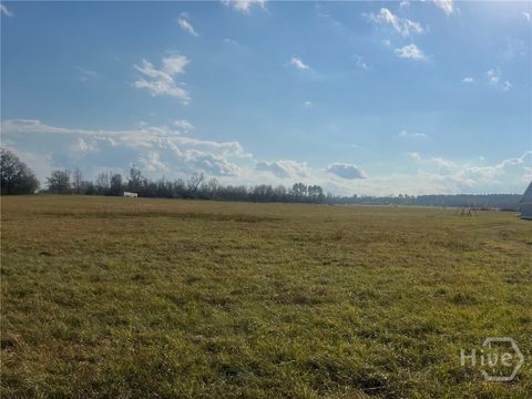 Vacant Land For Sale - Old Savannah Road<br/> Jenkins County, Millen, GA 30442