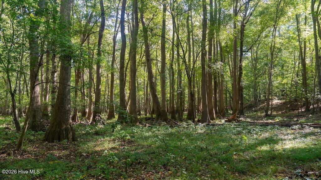 Photo of 0 Spring Hill Road, Scotland Neck, NC 27874 (MLS # 100611767)