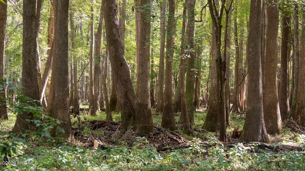 Photo of 0 Spring Hill Road, Scotland Neck, NC 27874 (MLS # 100611767)