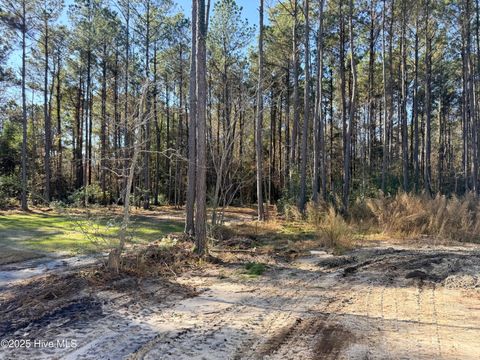 Tiny photo for 1134 Watts Landing Road, Hampstead, NC 28443 (MLS # 100543905)