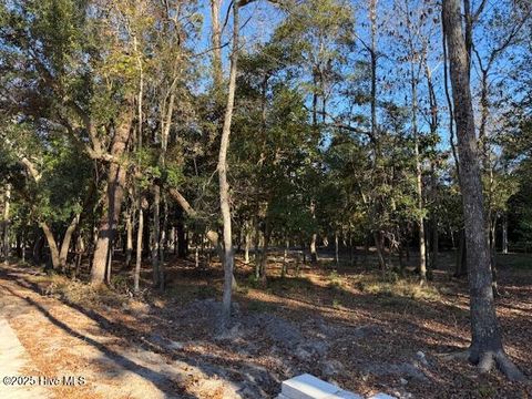 Tiny photo for 116 Stones Throw Lane, Wilmington, NC 28411 (MLS # 100543553)