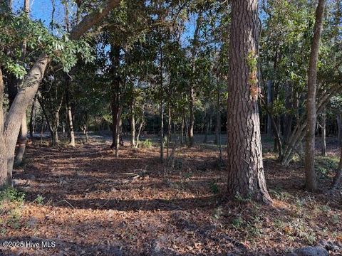Tiny photo for 116 Stones Throw Lane, Wilmington, NC 28411 (MLS # 100543553)
