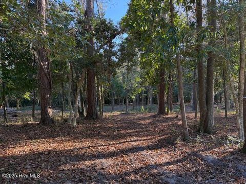 Tiny photo for 116 Stones Throw Lane, Wilmington, NC 28411 (MLS # 100543553)