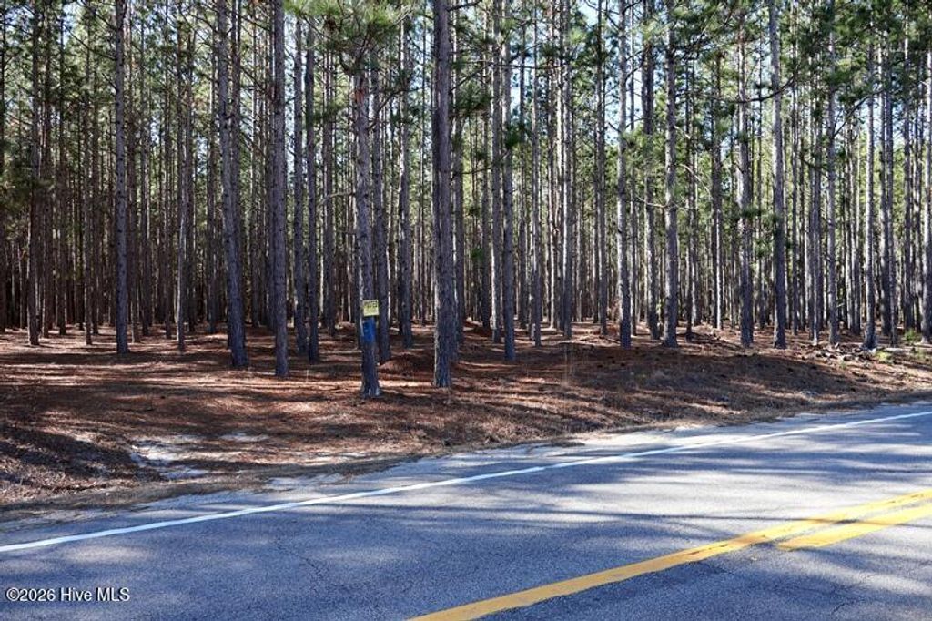 Photo of Tbd Stuarts Mill Road, Fairmont, NC 28340 (MLS # 100551132)