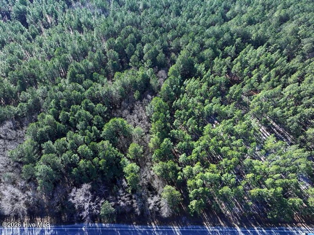 Photo of Tbd Stuarts Mill Road, Fairmont, NC 28340 (MLS # 100551132)