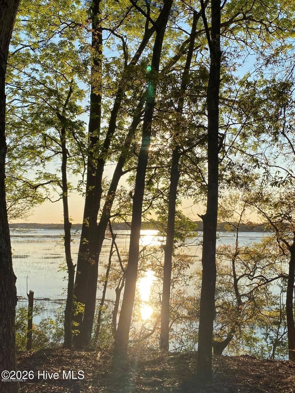 Photo of 1955 Russell Hewett Road SW, Supply, NC 28462 (MLS # 100568024)