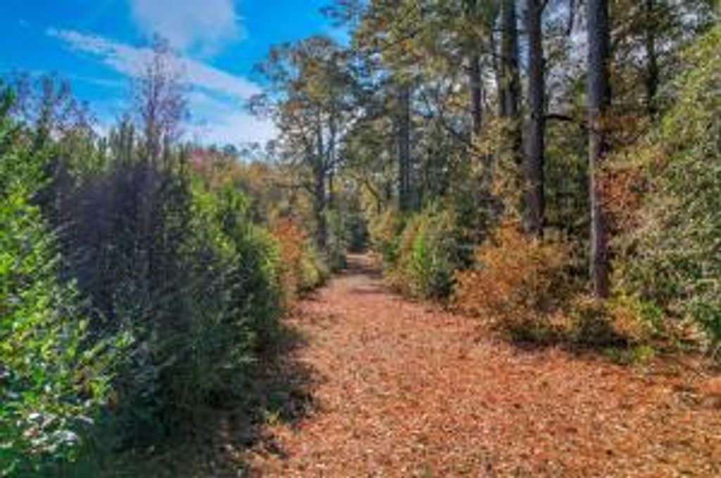 Photo of 0000 Wrights Mill Road, Aiken, SC 29801 (MLS # 552316)