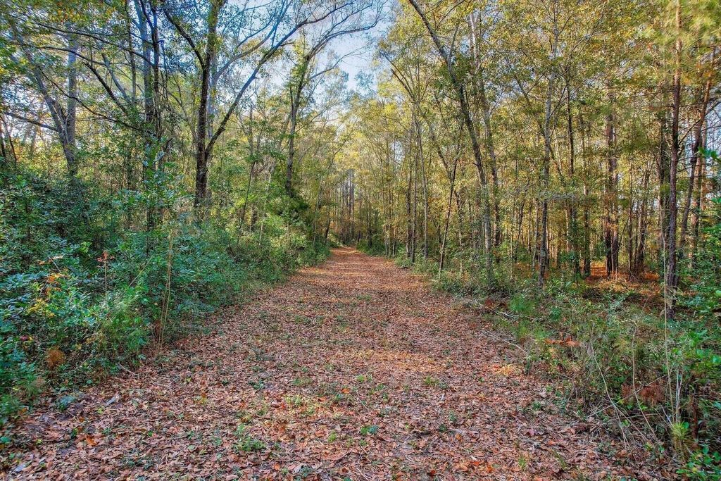 Photo of 0000 Wrights Mill Road, Aiken, SC 29801 (MLS # 552316)