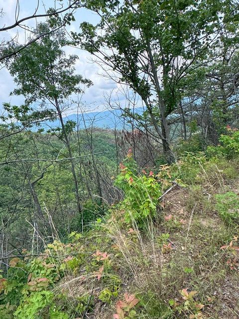 Vacant Land For Sale - 88 ACRES Bolden Branch<br/> Andrews, NC 28901