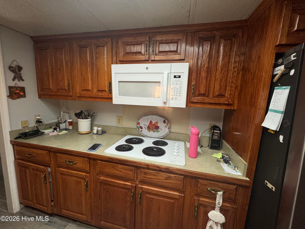 Photo of 21920 Bunch Road, Laurel Hill, NC 28351 (MLS # 100611648)