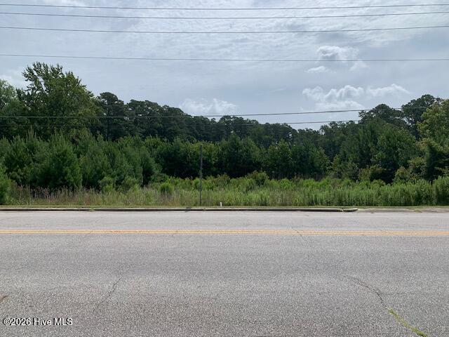 Photo of Tbd Near 911 Hickman Road, Tabor City, NC 28463 (MLS # 100594732)