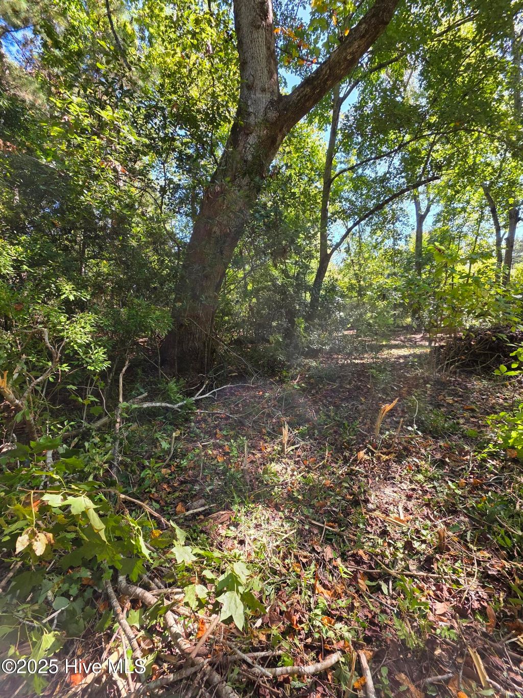 Photo of 20 West High Bluff Drive, Hampstead, NC 28443 (MLS # 100494570)