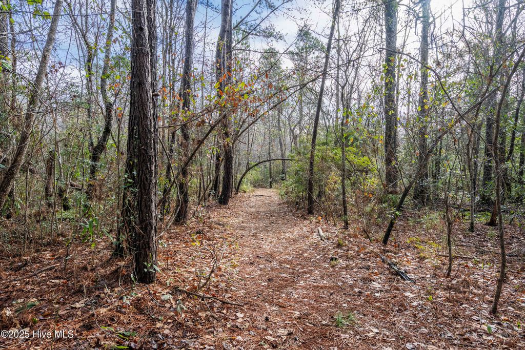 Photo of 20 West High Bluff Drive, Hampstead, NC 28443 (MLS # 100494570)
