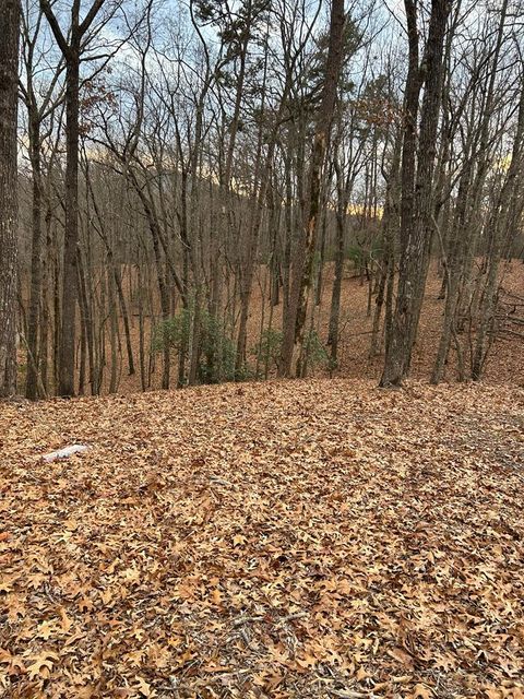 Vacant Land For Sale - Tracks Hollow<br/> Murphy, NC 28906