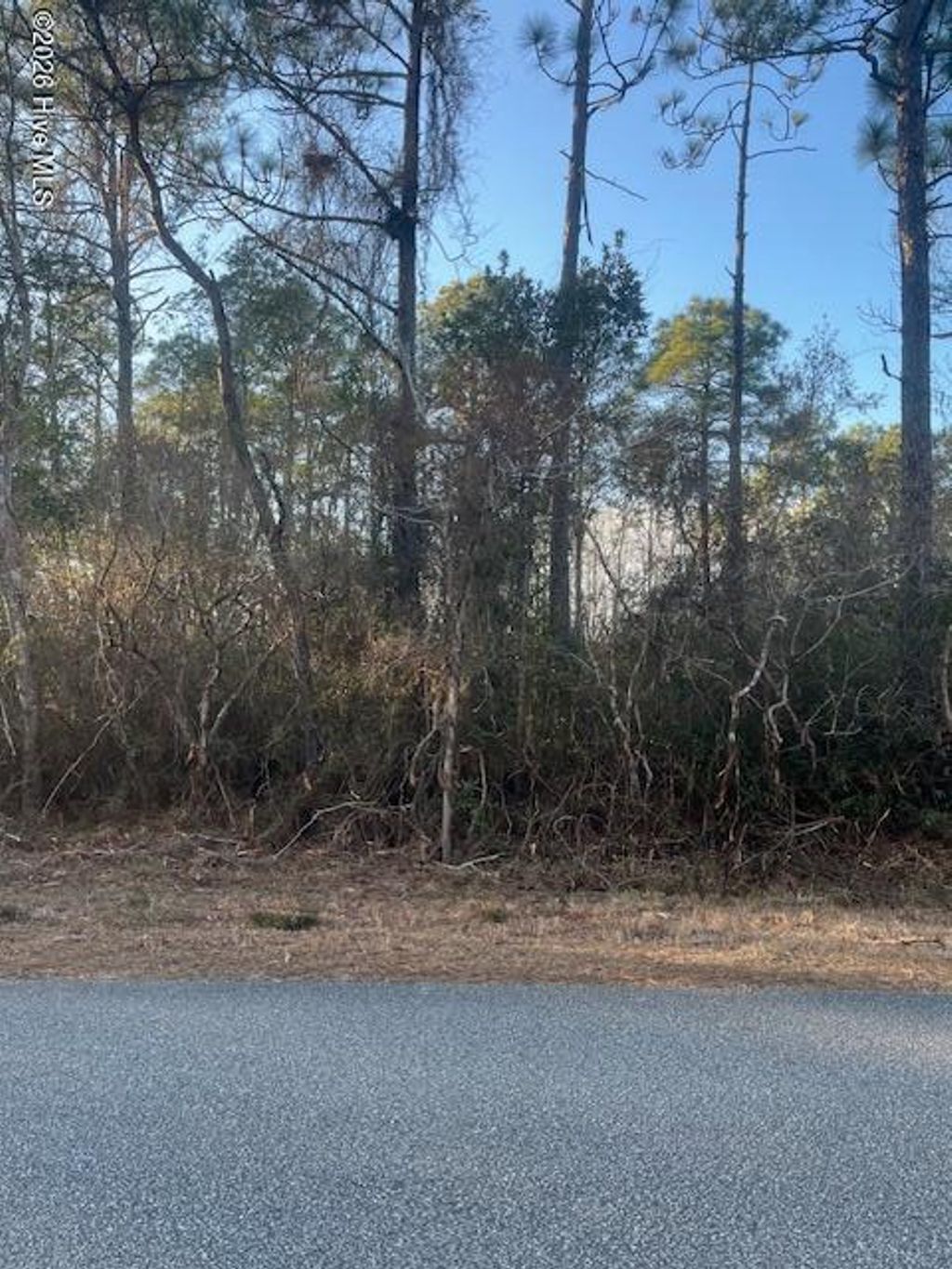 Photo of 236 W South Shore Drive, Southport, NC 28461 (MLS # 100556323)