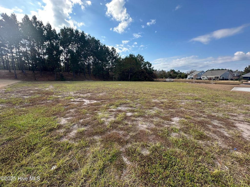 Photo of 2216 Palm Pointe NE, Leland, NC 28451 (MLS # 100544446)