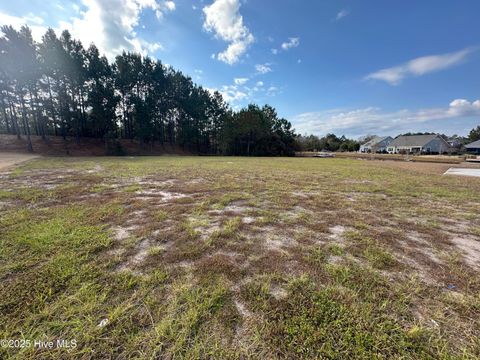 Tiny photo for 2216 Palm Pointe NE, Leland, NC 28451 (MLS # 100544446)