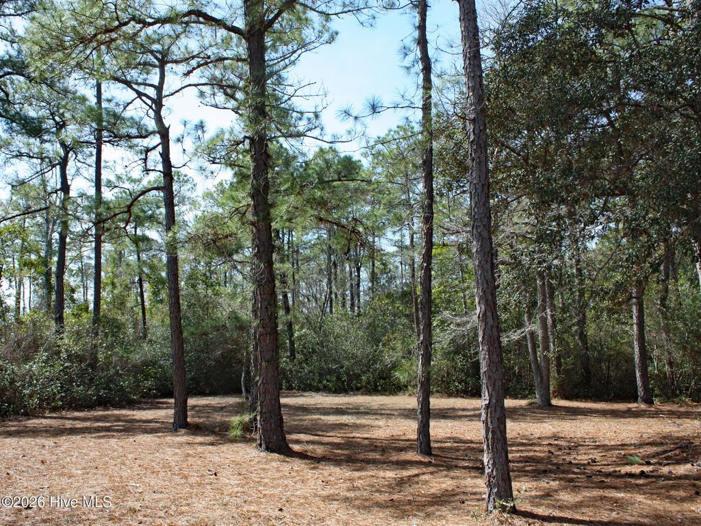 Photo of 6653 Lisburn Terrace SW, Ocean Isle Beach, NC 28469 (MLS # 100557826)