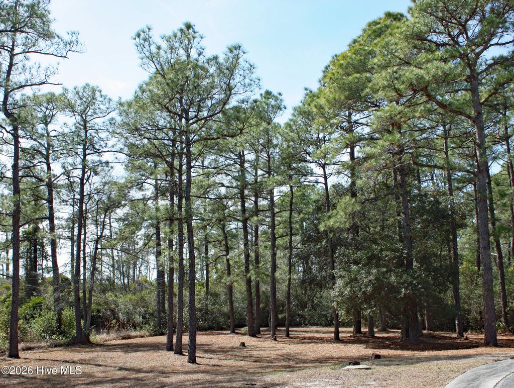 Photo of 6653 Lisburn Terrace SW, Ocean Isle Beach, NC 28469 (MLS # 100557826)