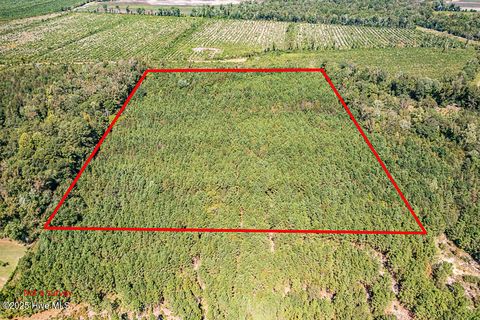 Vacant Land For Sale - 780 Campbell Road<br/> Vanceboro, NC 28586