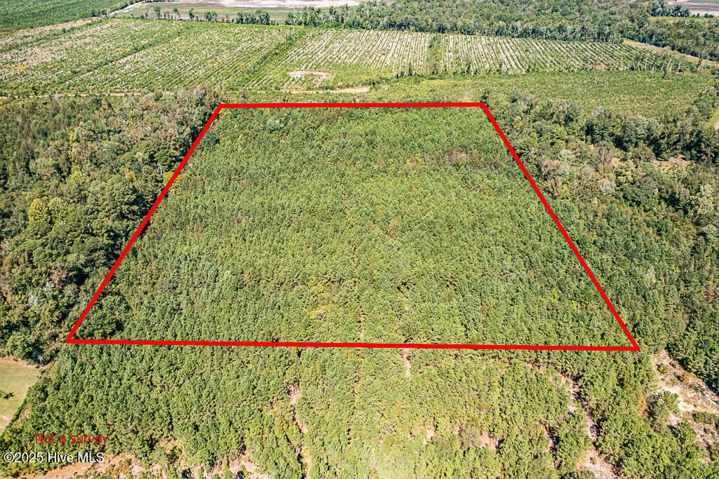 780 Campbell Road, Vanceboro, NC, 28586