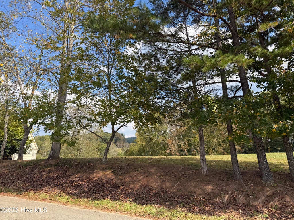 Photo of 16 Lance Road Road, Murphy, NC 28906 (MLS # 100610850)