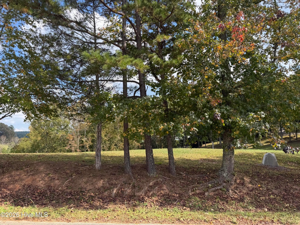 Photo of 16 Lance Road Road, Murphy, NC 28906 (MLS # 100610850)