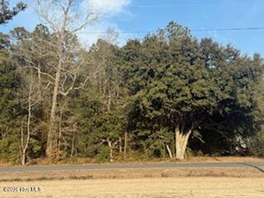 Photo of 120 Rough Horn Road, Evergreen, NC 28438 (MLS # 100555434)