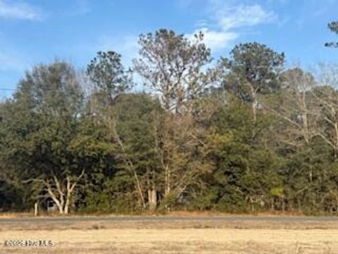 Vacant Land For Sale - 120 Rough Horn Road<br/> Evergreen, NC 28438