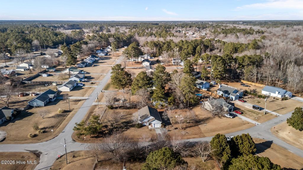 Photo of 305 Tassel Court, Hubert, NC 28539 (MLS # 100551905)