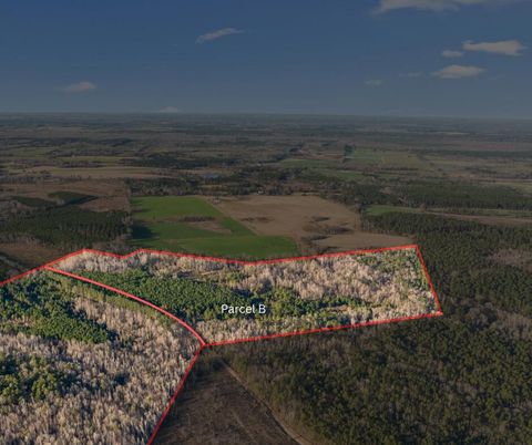 Vacant Land For Sale - 00 Thomas Road<br/> Jenkins County, Millen, GA 30442